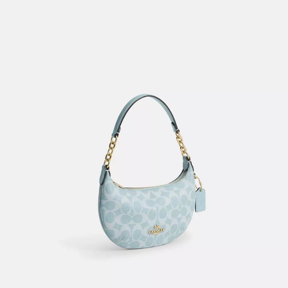 Bolsa Coach