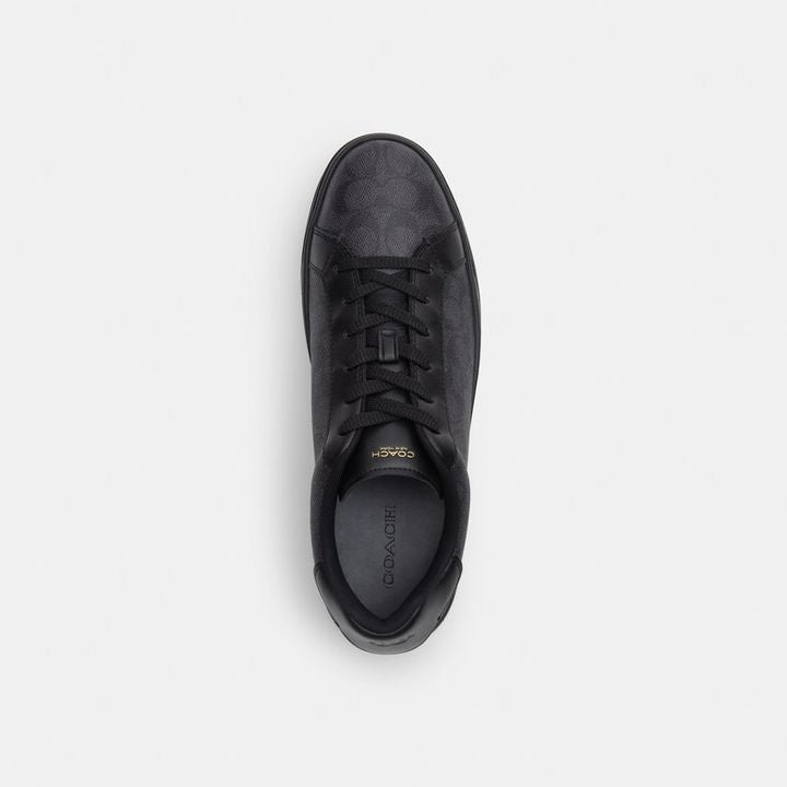Tenis COACH