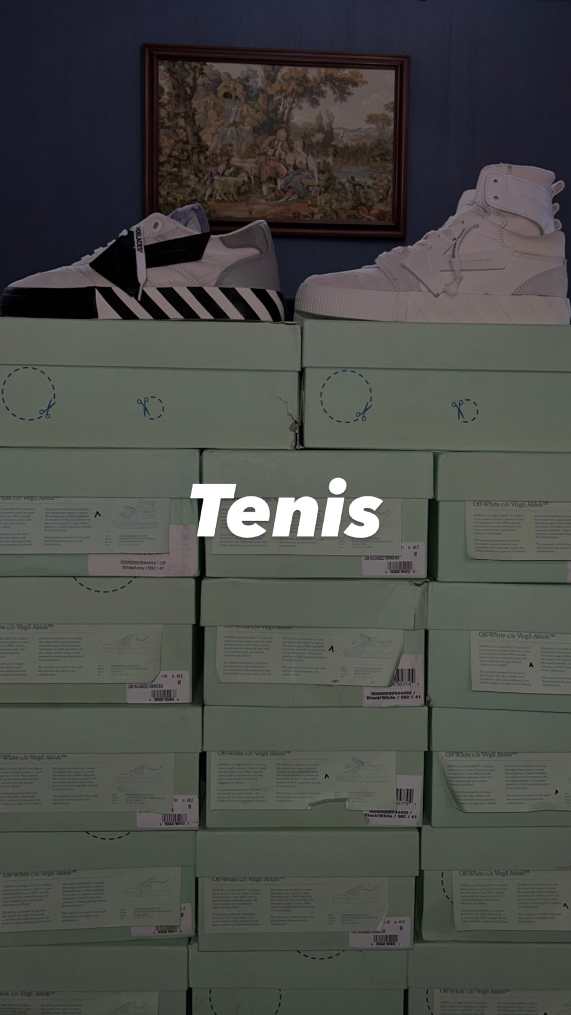 Tenis