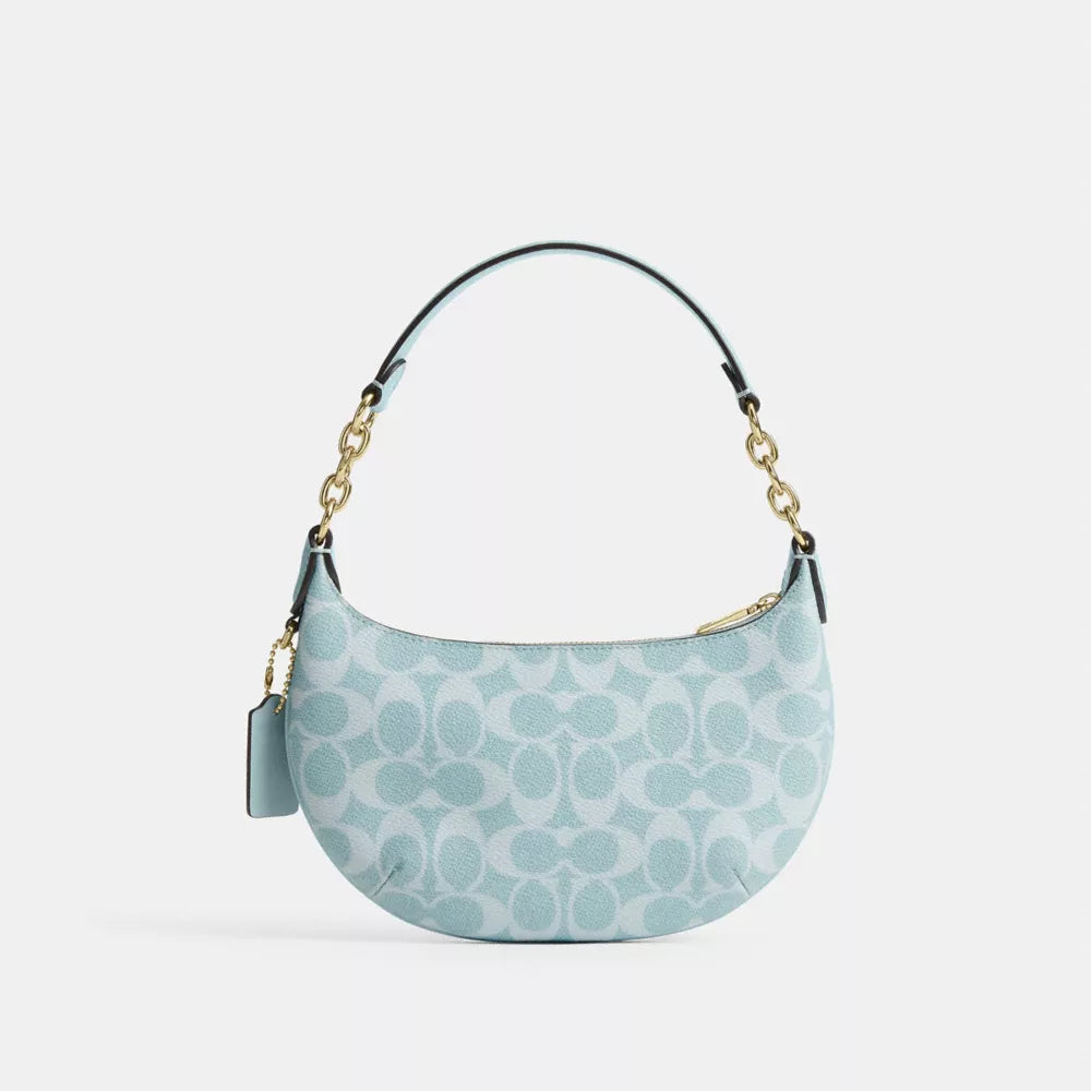 Bolsa Coach