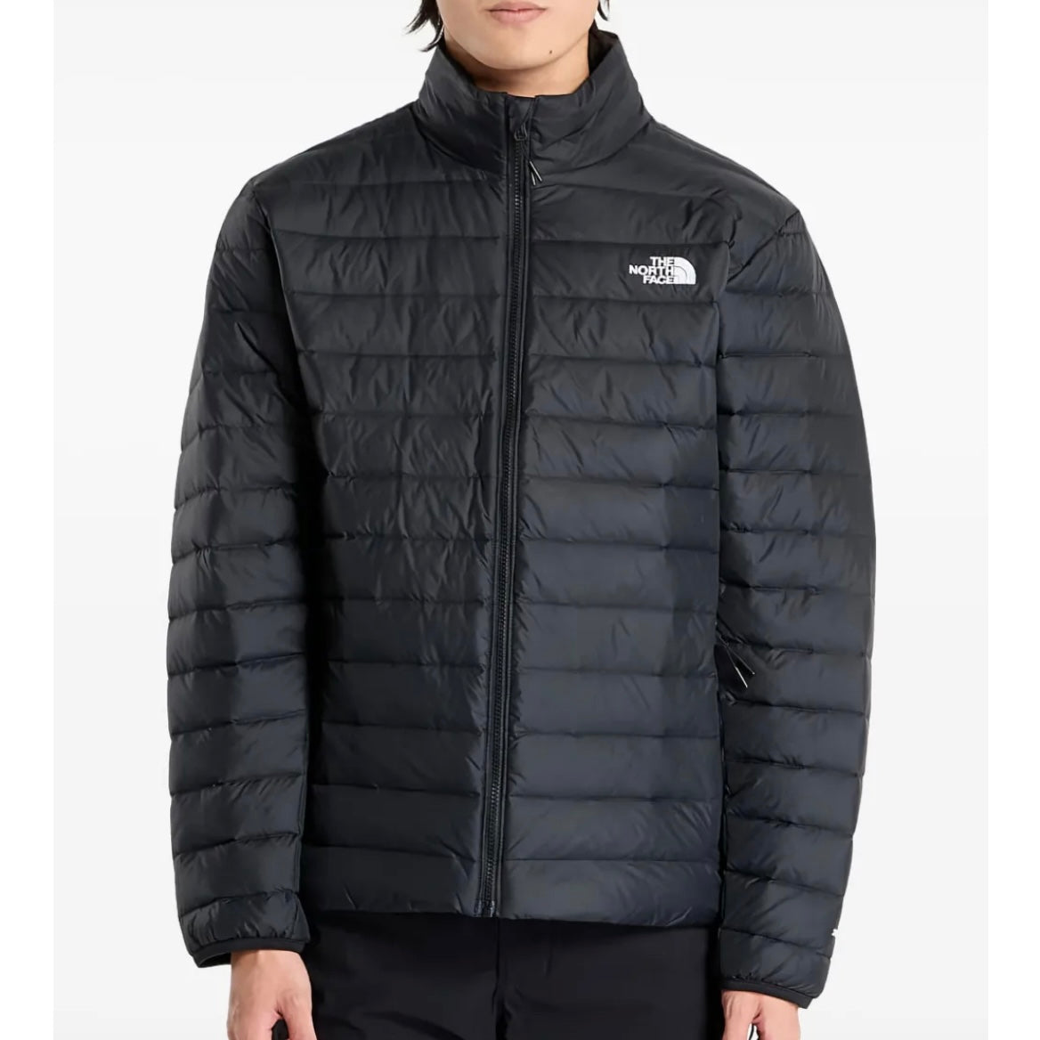Chamarra THE NORTH FACE 600
