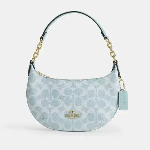 Bolsa Coach