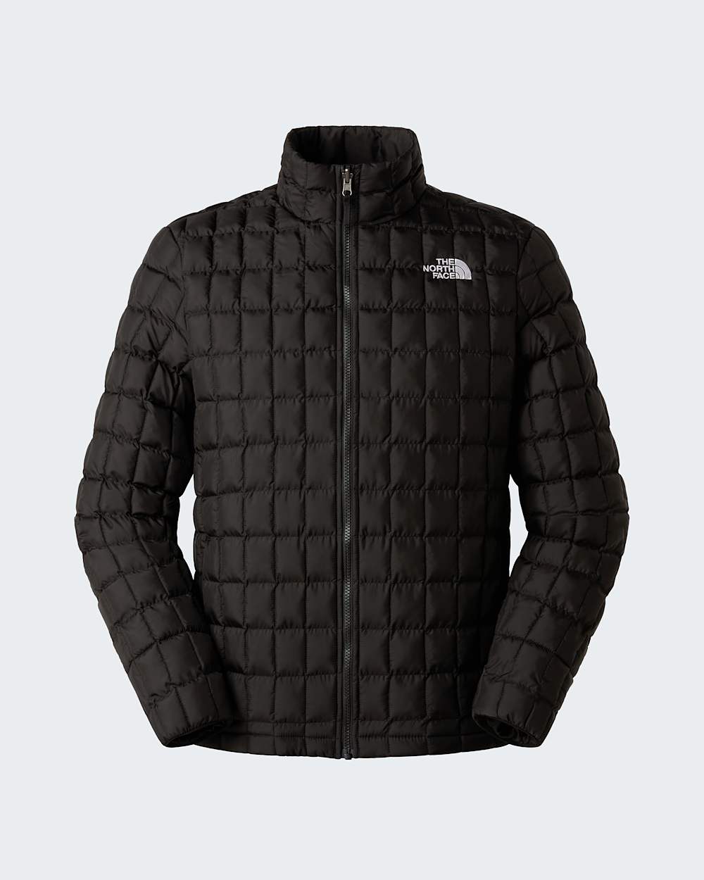 Chamarra THE NORTH FACE