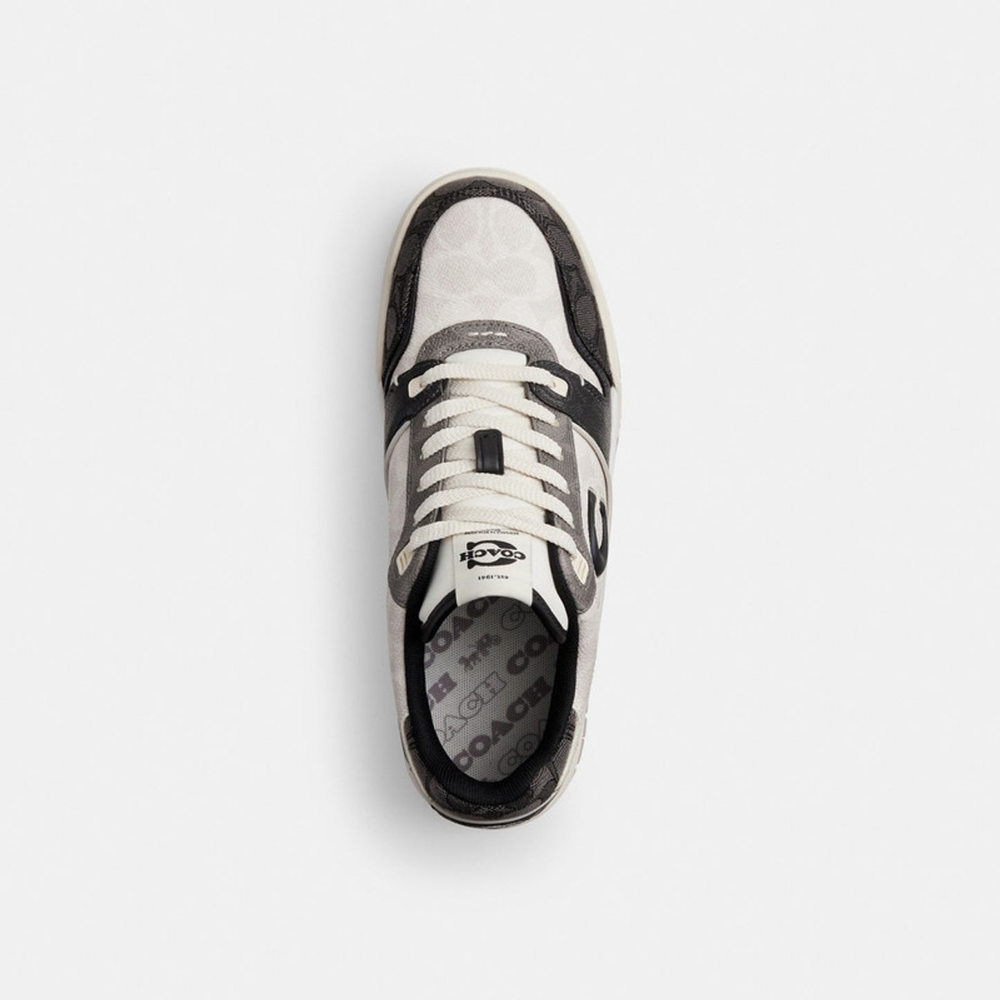 Tenis COACH