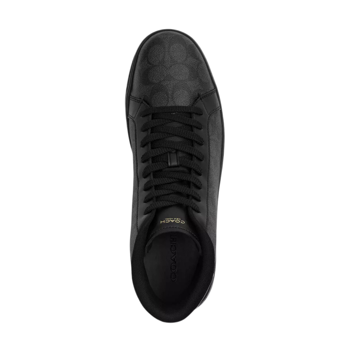 COACH Tenis - High Line Sig HT