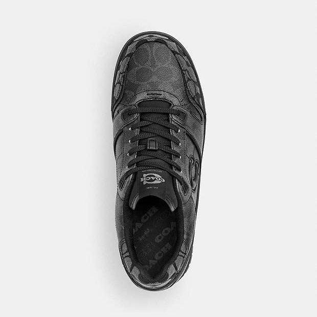 Tenis COACH